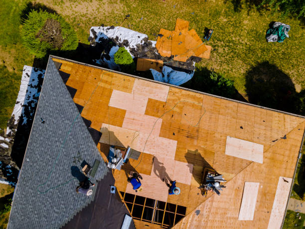 Best Storm Damage Roof Repair  in Vadnais Heights, MN