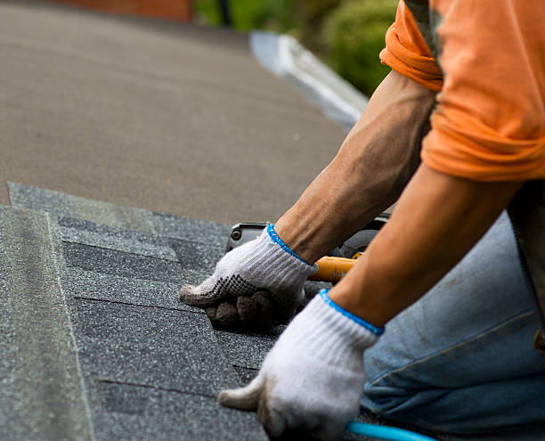 Best Metal Roofing Contractor  in Vadnais Heights, MN